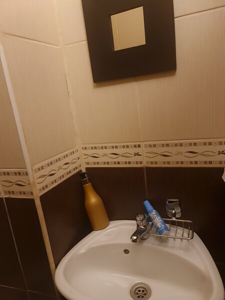 Baicului, Gara Obor,